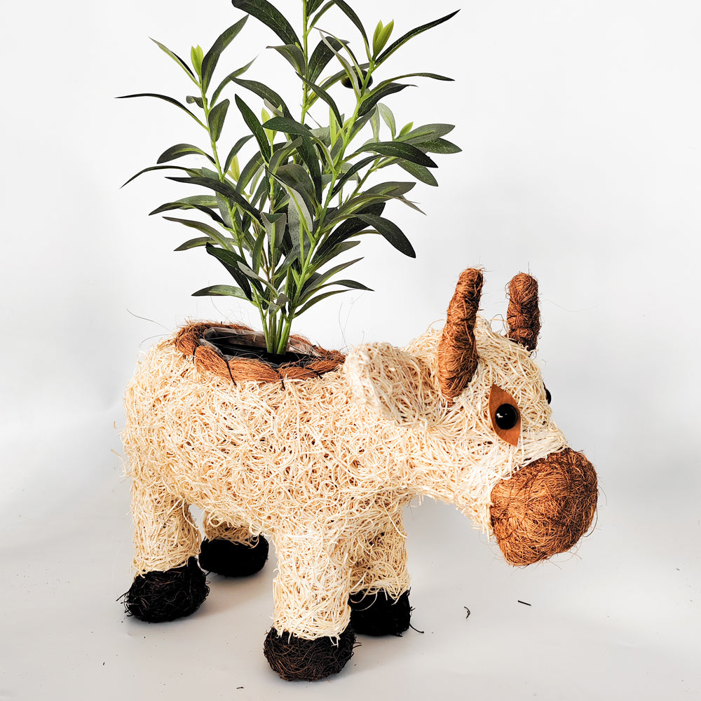 Urban Products HUSK Cow Themed Home Decor Planter Pot Box Natural 36cm — image 2