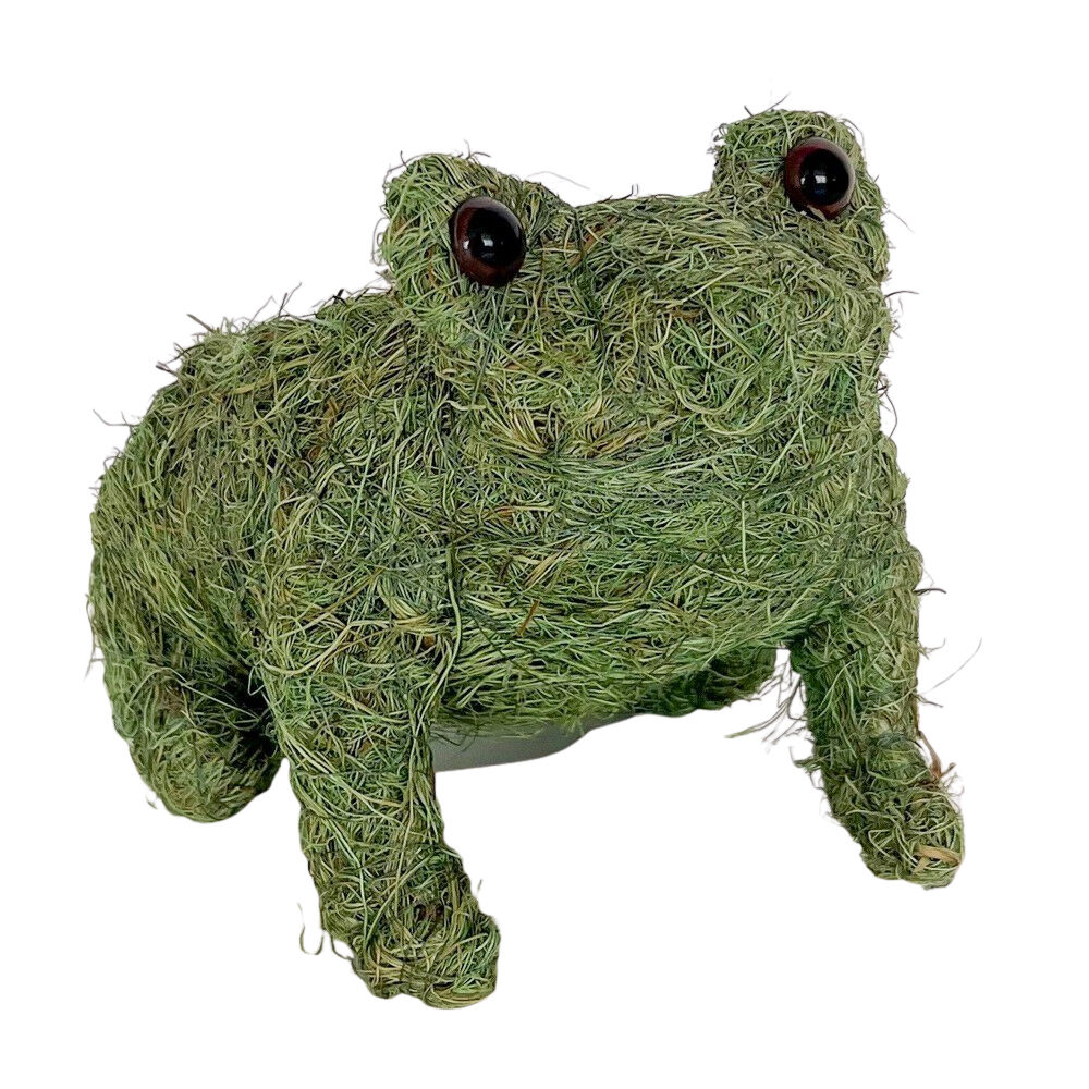Urban Husk Frog Coconut Fibre Planter Pot 20x15cm Green (2 Pack) — image 2