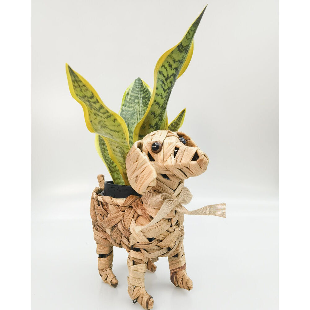Urban Coconut Fibre Woven Dog Outdoor Planter Pot 29cm Natural (2 Pack) — image 4