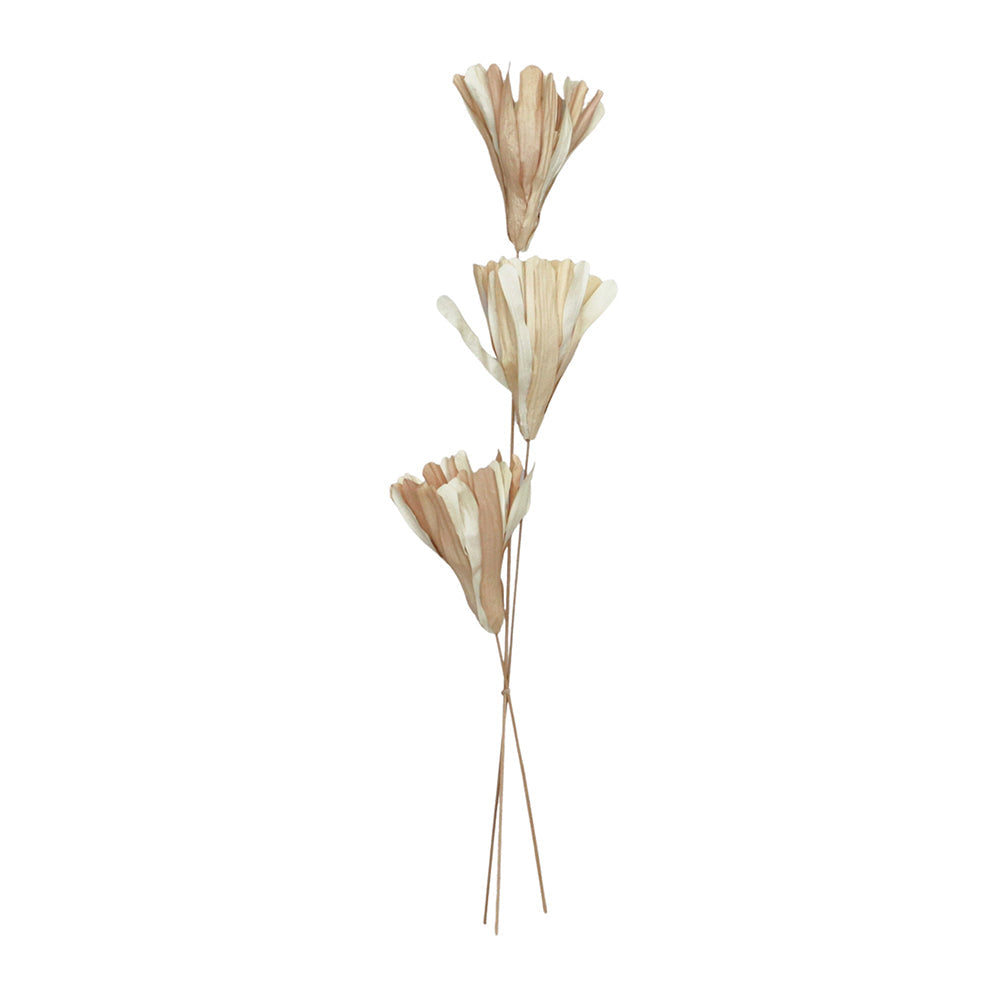 Urban 70cm Dried Foliage Fire Leaf Flowers w/ Stem Preserved Display Natural (3 Pieces)