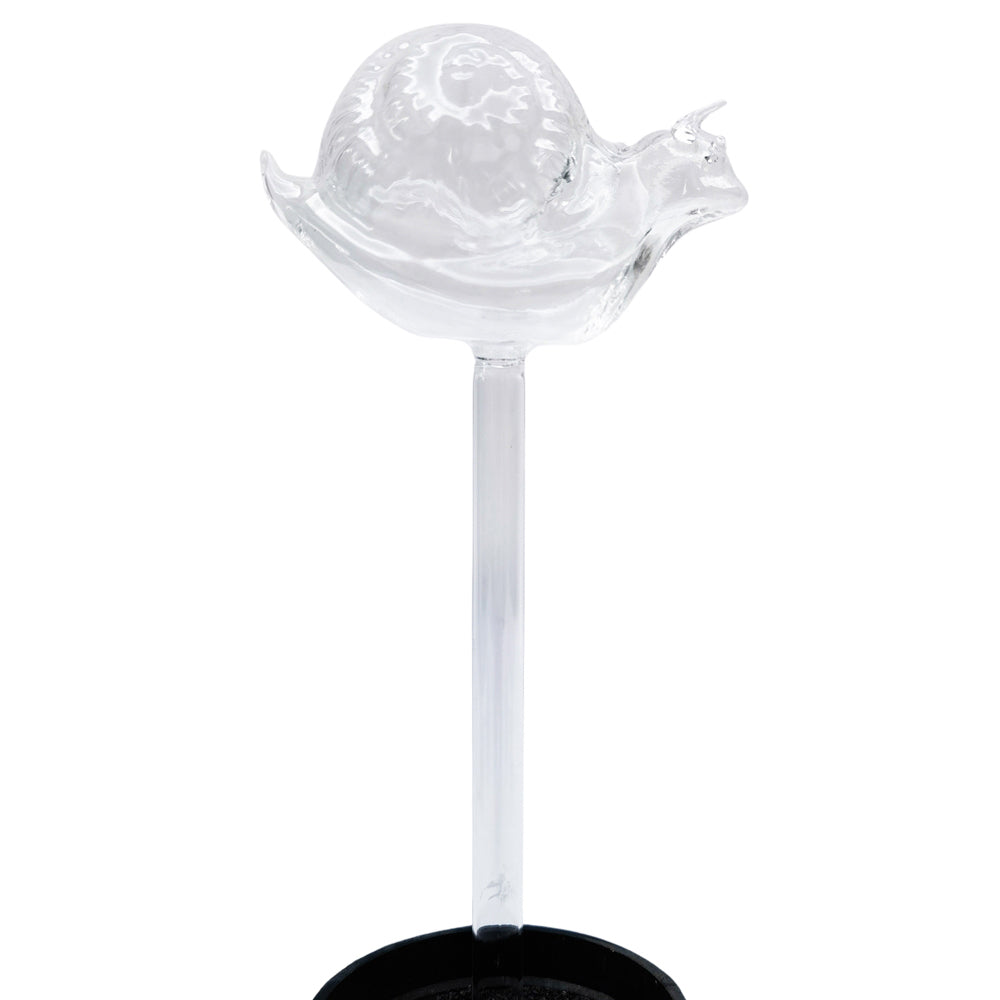 Urban Snail Plant Water Seeper Clear Durable Watering Can Garden Decor 24cm