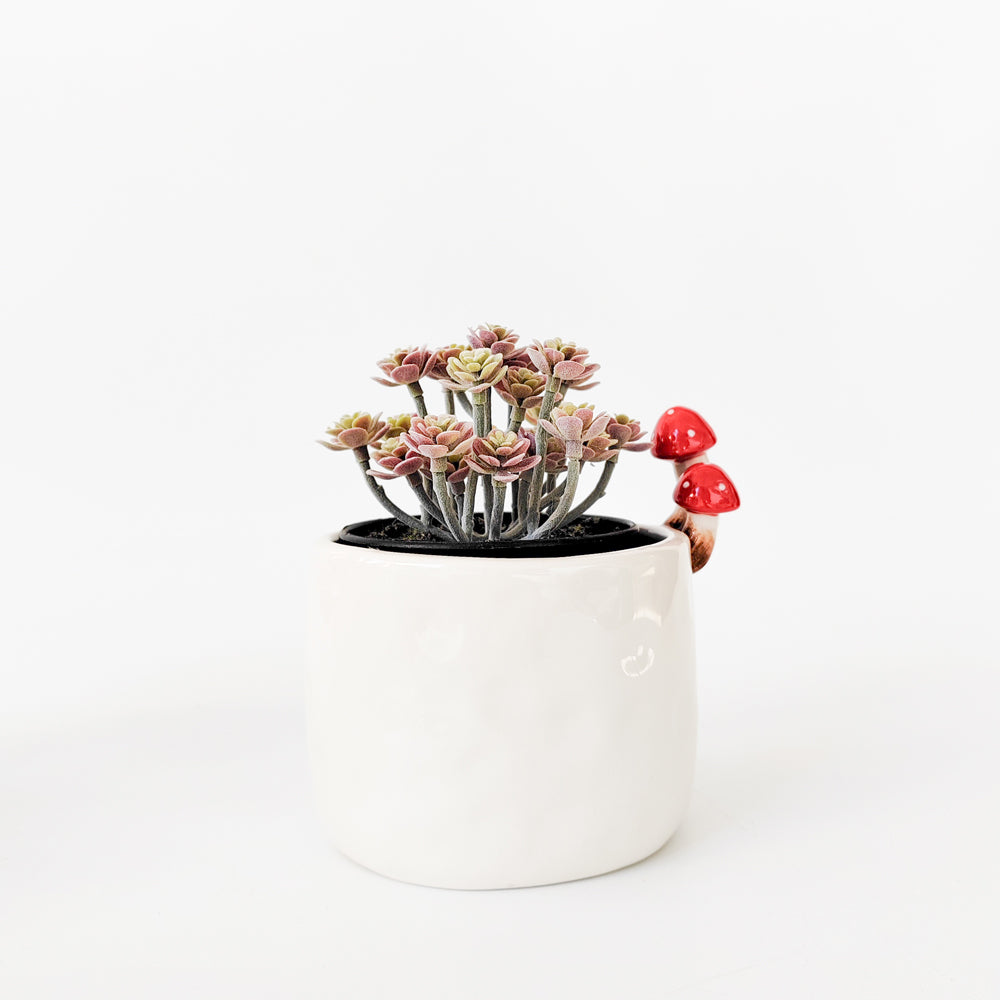 Urban Products Toadstool Home Fragrance Decor Ceramic Planter White 13cm — image 2