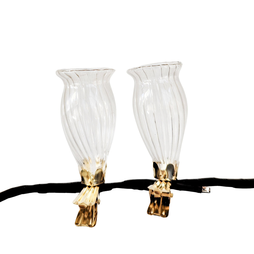 Urban Products Decorative Kinkora Flower Clip Vases Clear Home Decor (2 Pieces)
