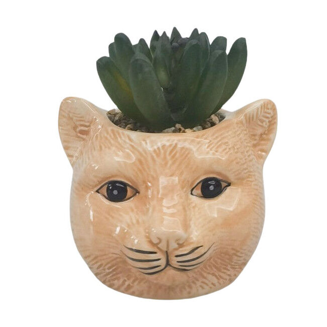Urban 10cm Ginger Ceramic Mini Cat Decorative Planter Pot with Plant
