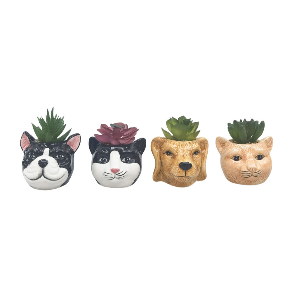 Urban 10cm Ginger Ceramic Mini Cat Decorative Planter Pot with Plant — image 2
