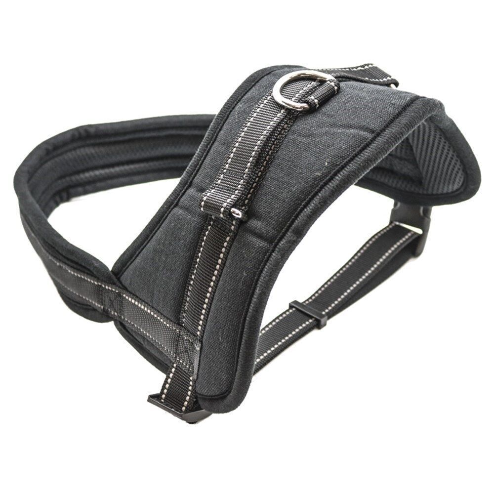 Paws and Claws Strong Secure Lock Soft Padded Pet Harness Medium 65-80cm (4 Pack) — image 3