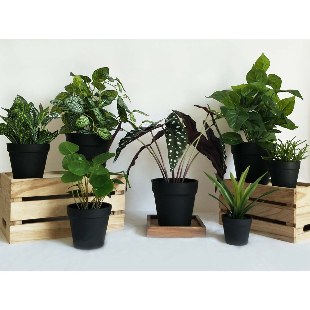 Urban Spotted Begonia 38cm Artificial Potted Plant Fake Faux Decor Green White — image 2