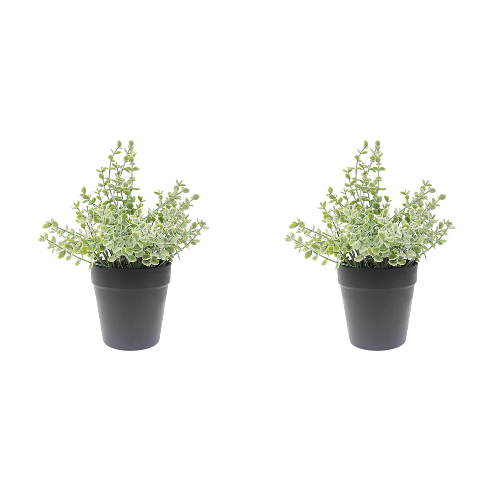 Urban Eucalyptus 23cm Artificial Potted Plant Fake Indoor Home Decor Green (2 Pack)