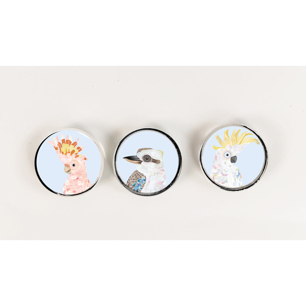 Urban 3pc Urban 3cm FB Australia Birds Magnets Home Fridge Decor (3 Pack) — image 3
