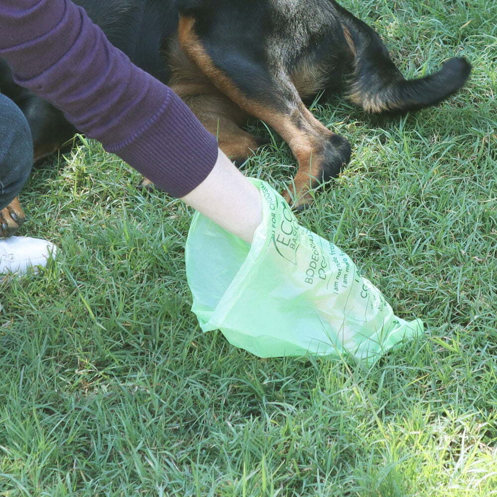 Eco Basics 8PK Eco Basic Biodegradable Doggy Disposable Waste Bags Compostable Collector (2 Pack) — image 7