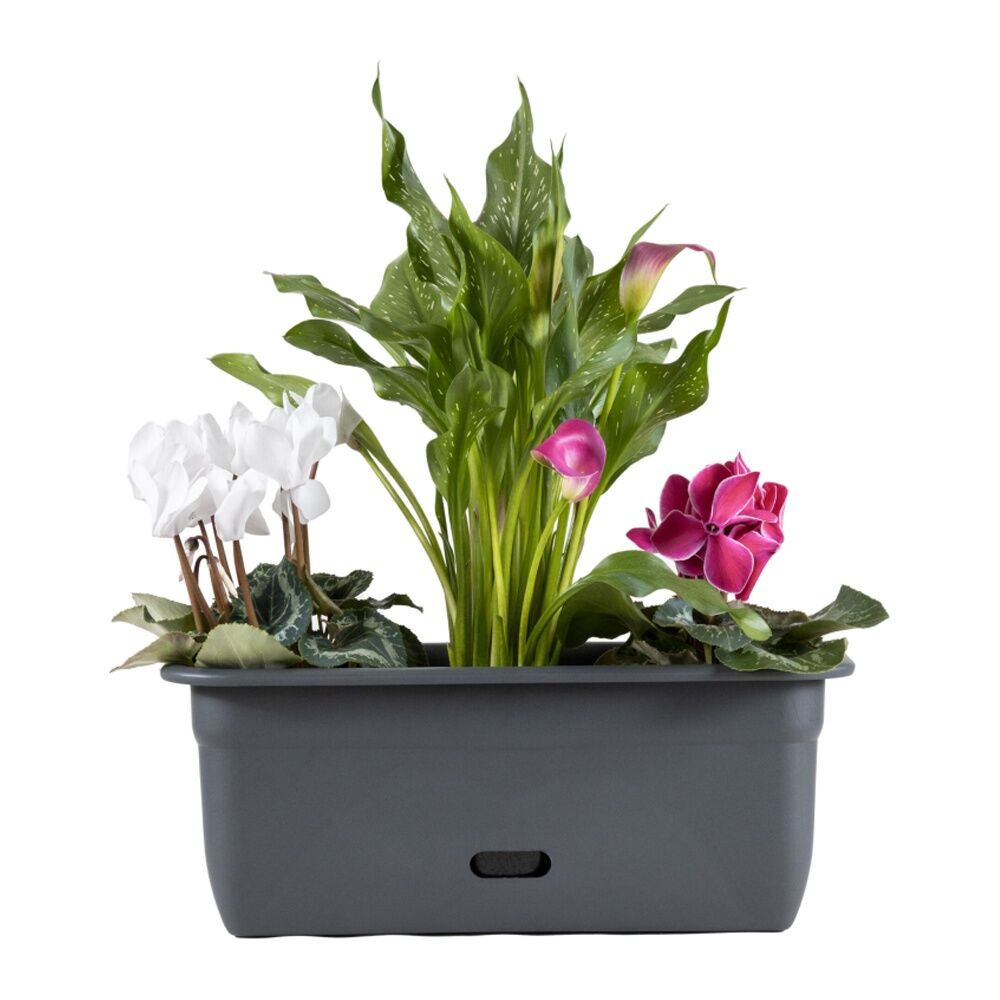 Homeleisure WaterSaver Rect Planter Flower/Plant Pot Garden Decor 45cm Char (2 Pack)
