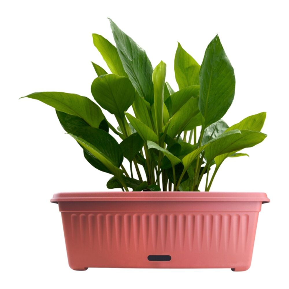 Homeleisure WaterSaver Traditional Rect Planter Flower Pot 68cm Manor Red (3 Pack) — image 3