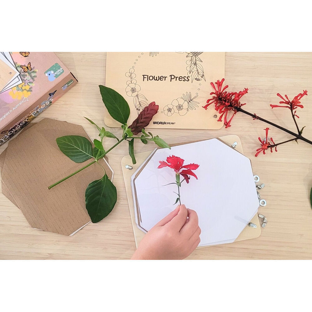 Kaper Kidz Australian Flora Flower Press Craft Kit/Creativity Activity 3y+ (2 Pack) — image 10