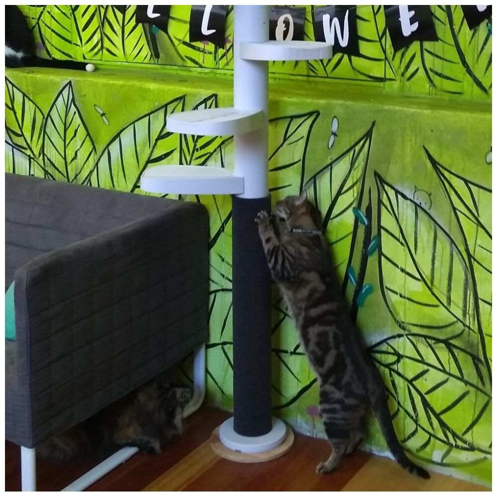 Monkee Tree Warp Around Zip On Scratch Patch Accessory For Cat Climber — image 2
