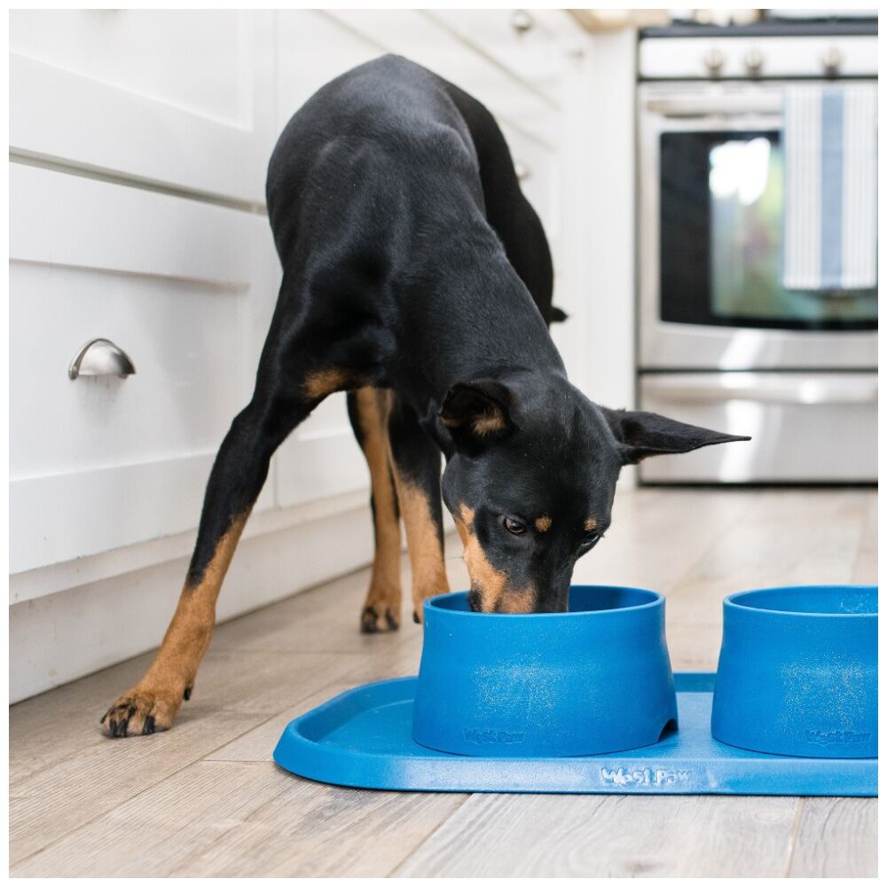 West Paw Non-Slip Dog Feeding Placemat Raised Edges Dishwasher Safe Seaflex — image 2