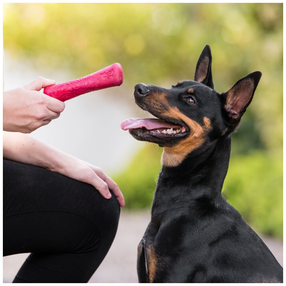 West Paw Large Emerald Drifty Bone Pet Dog Fetch Throwing Soft Chew Toy — image 3
