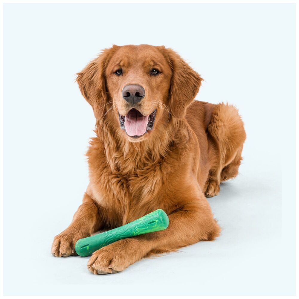 West Paw Large Emerald Drifty Bone Pet Dog Fetch Throwing Soft Chew Toy — image 4