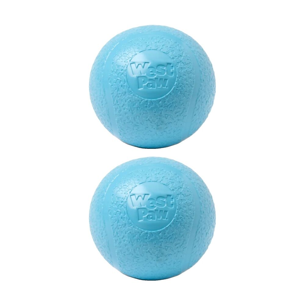 West Paw Echo Boundr Pet Dog Ball Throwing Soft Chew Toy Large Aqua Blue (2 Pack)