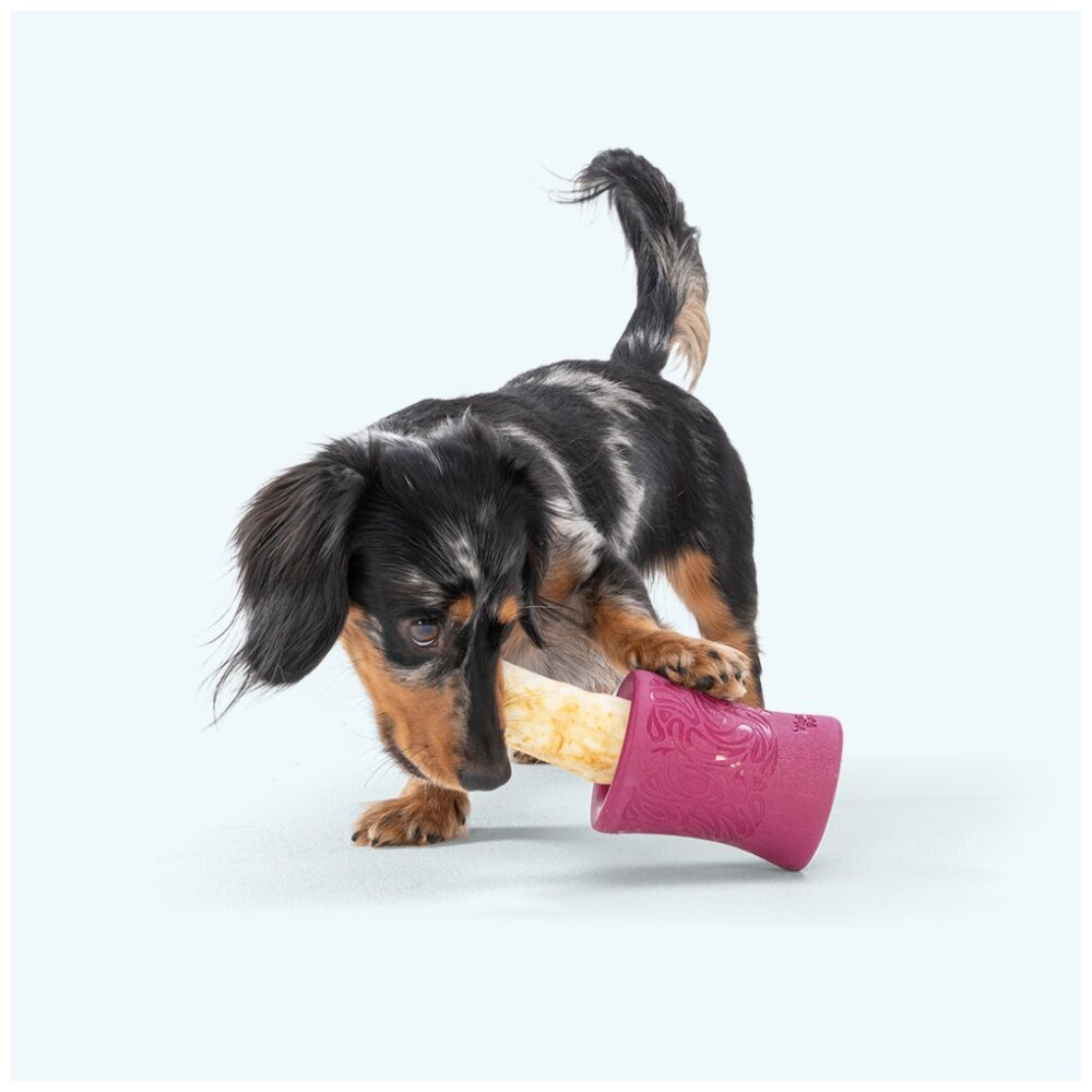 West Paw Marine Funnl Pet Dog Treat Dispenser Soft Chew Toy — image 4