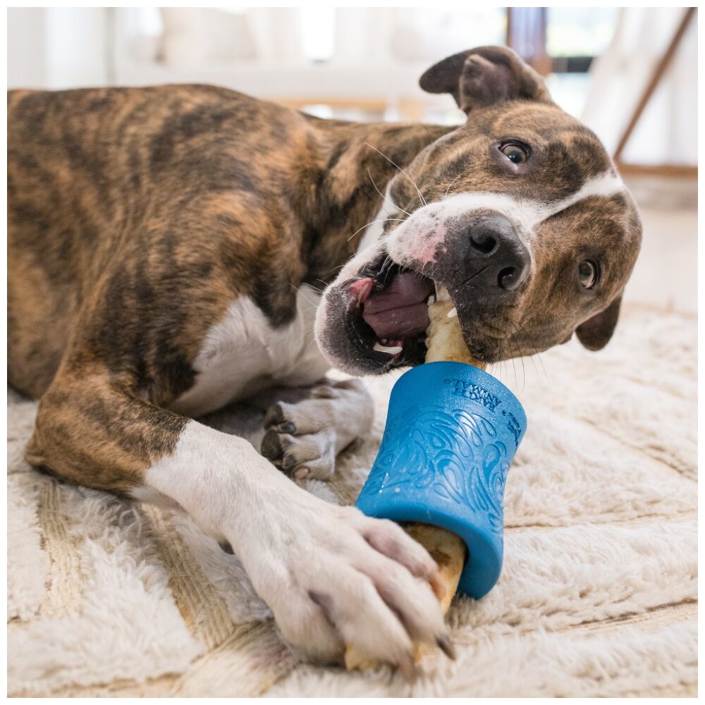 West Paw Marine Funnl Pet Dog Treat Dispenser Soft Chew Toy — image 5