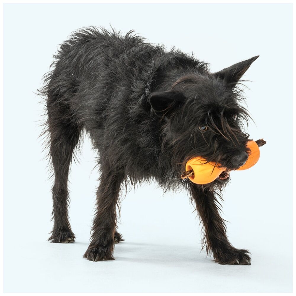 West Paw Small Tangerine Qwizl Pet Dog Interactive Treat Dispenser Soft Chew Toy — image 2