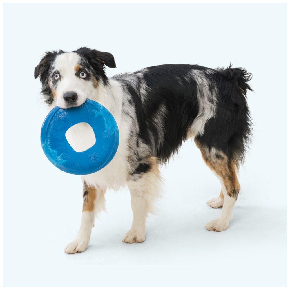 West Paw Large Hibiscus Sailz Discus Golf Pet Dog Throwing Soft Chew Toy — image 3