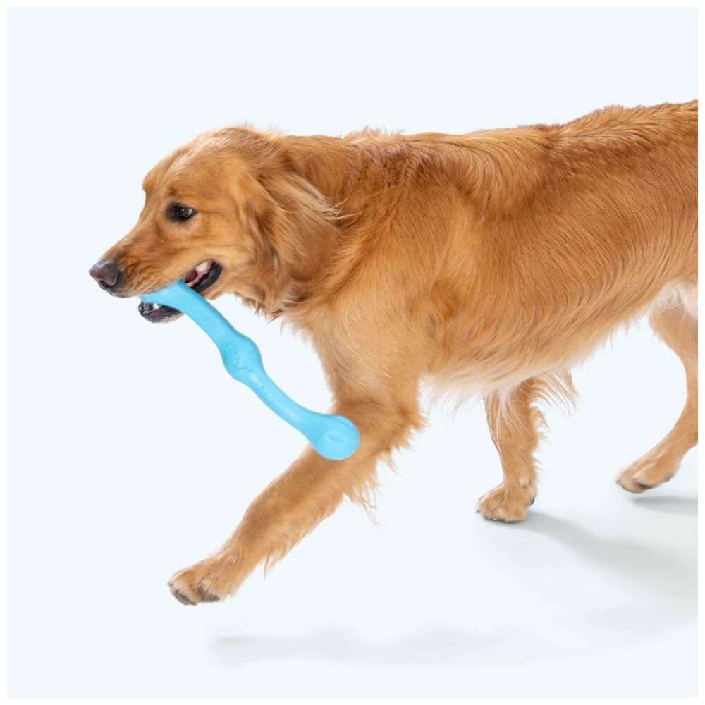 West Paw Dandelion Zwig Pet Dog Fetch Throwing Soft Chew Toy — image 4